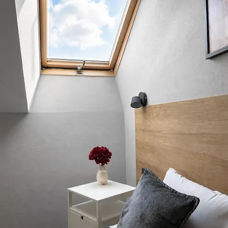 Bright Skylight Studio In The Heart Of Vilnius Old Town 公寓