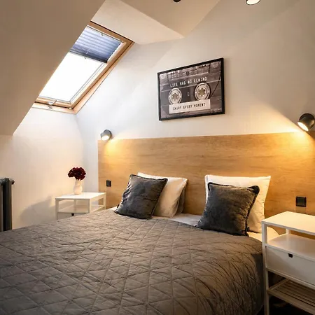 Bright Skylight Studio In The Heart Of Vilnius Old Town 公寓 维尔纽斯